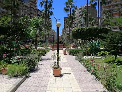 ممشى بين النخيل في حديقة بالحي