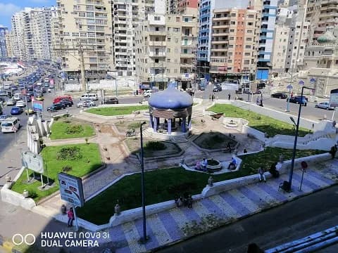 ميدان مزروع في الحي