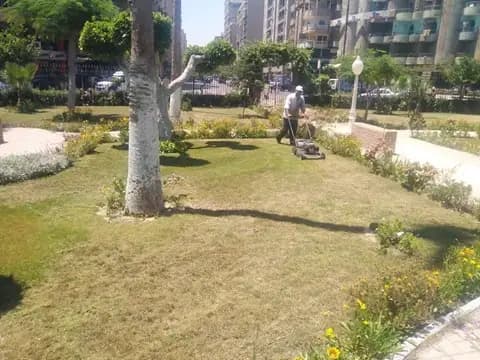 صورة 1 من 1 نشرها الحي مع المنشور