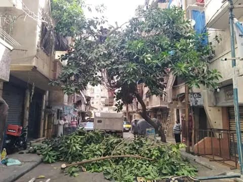 صورة 1 من 1 نشرها الحي مع المنشور