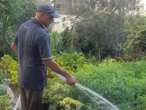 صورة 2 من 3 نشرها الحي مع المنشور
