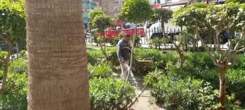 صورة 2 من 3 نشرها الحي مع المنشور