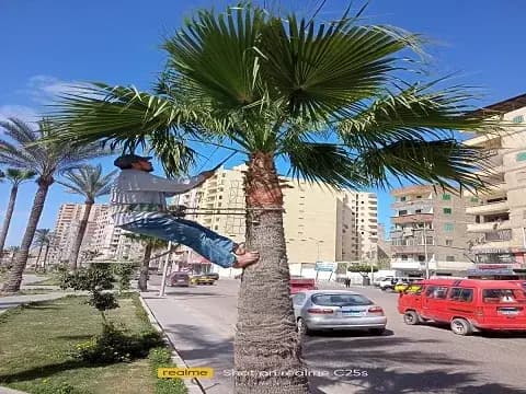 صورة 2 من 6 نشرها الحي مع المنشور