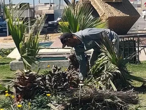 صورة 1 من 6 نشرها الحي مع المنشور