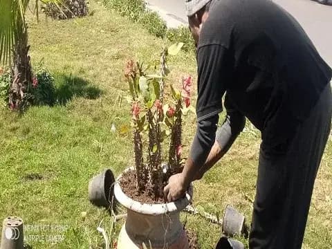 صورة 3 من 3 نشرها الحي مع المنشور