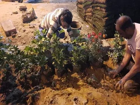 صورة 3 من 3 نشرها الحي مع المنشور