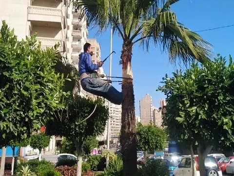 صورة 1 من 8 نشرها الحي مع المنشور
