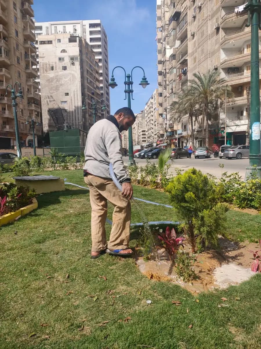 صورة 4 من 7 نشرها الحي مع المنشور