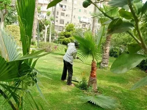 صورة 1 من 7 نشرها الحي مع المنشور