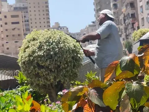 صورة 3 من 4 نشرها الحي مع المنشور