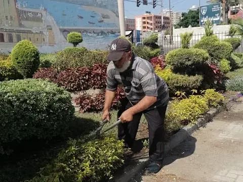 صورة 3 من 5 نشرها الحي مع المنشور