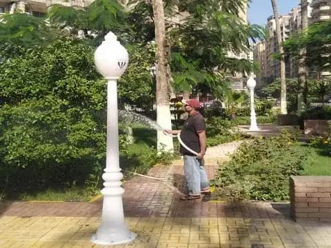 صورة 3 من 5 نشرها الحي مع المنشور