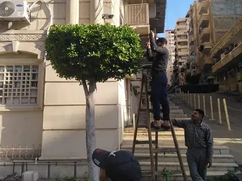 صورة 1 من 2 نشرها الحي مع المنشور