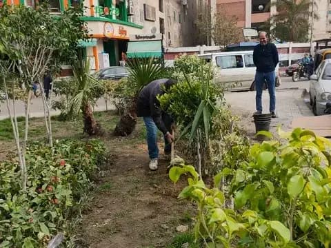 صورة 1 من 1 نشرها الحي مع المنشور