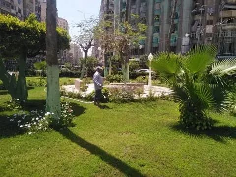 صورة 1 من 1 نشرها الحي مع المنشور