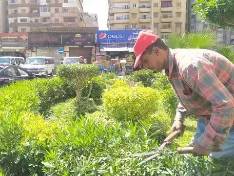 صورة 1 من 1 نشرها الحي مع المنشور