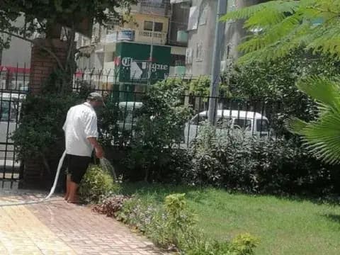 صورة 1 من 2 نشرها الحي مع المنشور
