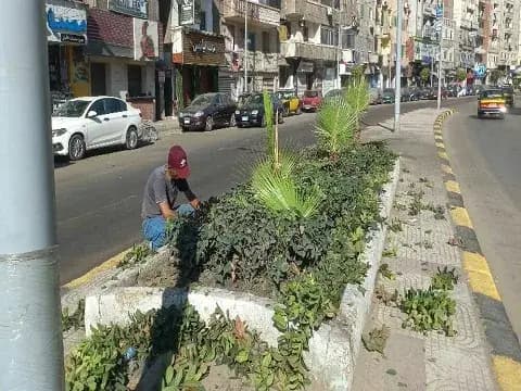 صورة 1 من 1 نشرها الحي مع المنشور