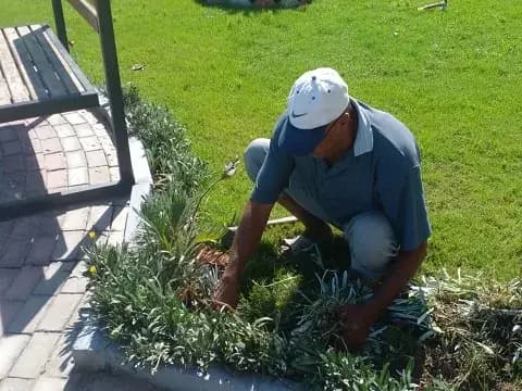 صورة 1 من 1 نشرها الحي مع المنشور