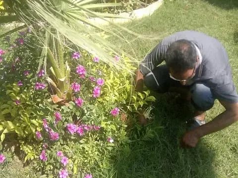 صورة 1 من 2 نشرها الحي مع المنشور