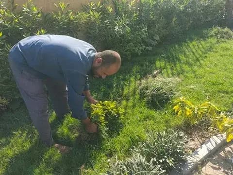 صورة 2 من 2 نشرها الحي مع المنشور