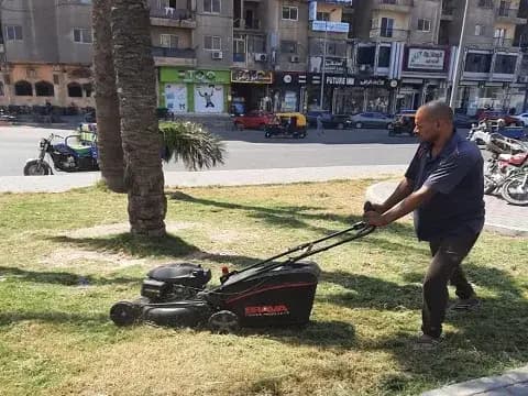 صورة 1 من 3 نشرها الحي مع المنشور