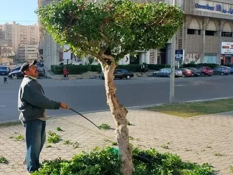 صورة 2 من 3 نشرها الحي مع المنشور