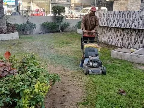 صورة 2 من 3 نشرها الحي مع المنشور