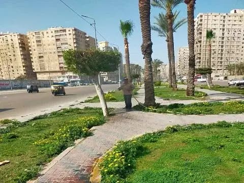 صورة 1 من 1 نشرها الحي مع المنشور