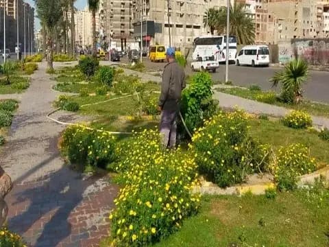 صورة 1 من 1 نشرها الحي مع المنشور