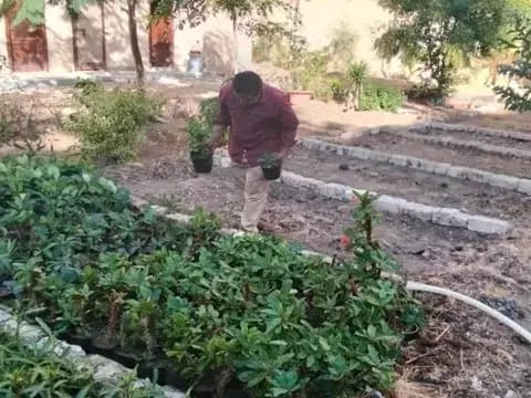 صورة 2 من 2 نشرها الحي مع المنشور