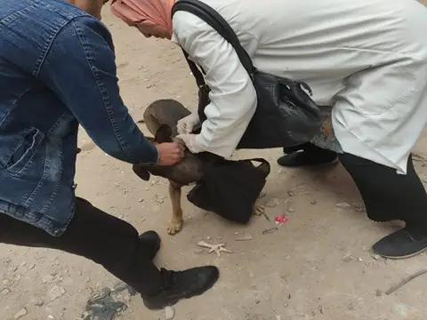 صورة 1 من 1 نشرها الحي مع المنشور