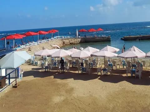 صورة نشرها حي المنتزه أول مع الخبر