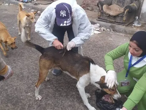 صورة نشرها حي المنتزه أول مع الخبر