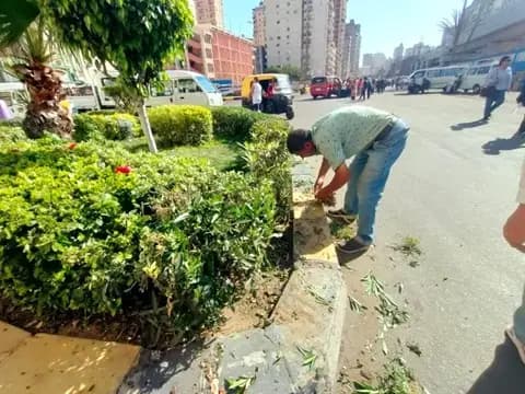 صورة 1 من 4 نشرها الحي مع المنشور