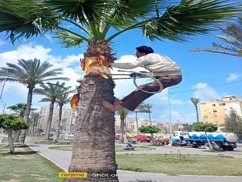 صورة 3 من 4 نشرها الحي مع المنشور