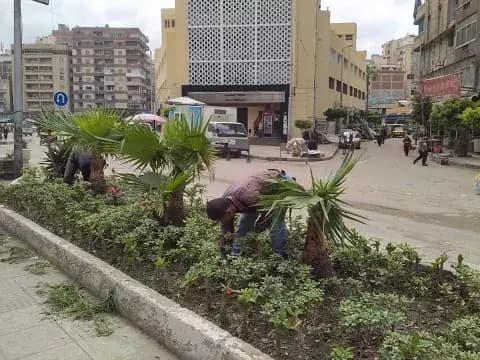 صورة 1 من 4 نشرها الحي مع المنشور