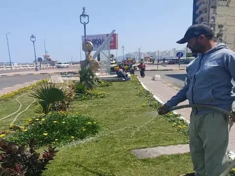 صورة 1 من 1 نشرها الحي مع المنشور