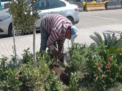 صورة 1 من 3 نشرها الحي مع المنشور