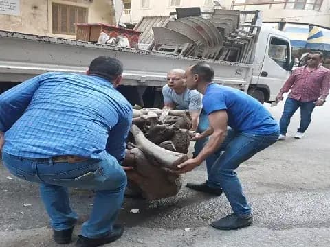صورة 4 من 4 نشرها الحي مع المنشور