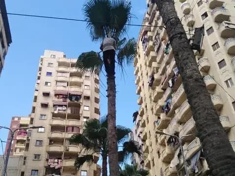 صورة 4 من 8 نشرها الحي مع المنشور