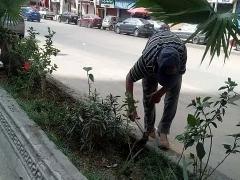 صورة 5 من 5 نشرها الحي مع المنشور