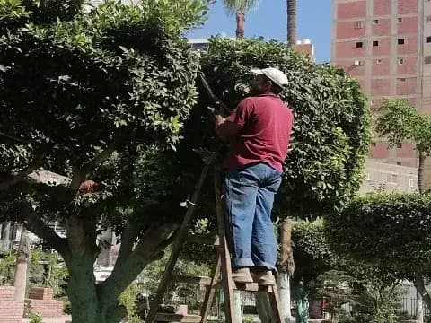صورة 1 من 1 نشرها الحي مع المنشور
