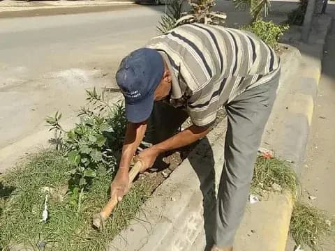 صورة 3 من 5 نشرها الحي مع المنشور