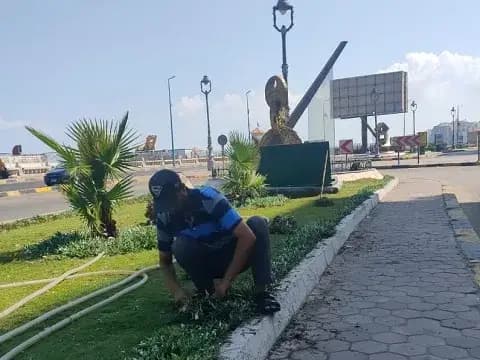 صورة 3 من 8 نشرها الحي مع المنشور