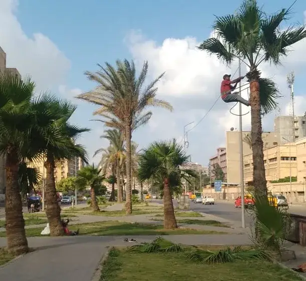صورة 5 من 6 نشرها الحي مع المنشور