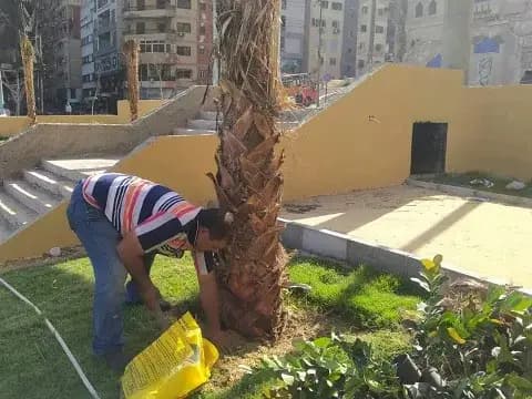 صورة 1 من 1 نشرها الحي مع المنشور