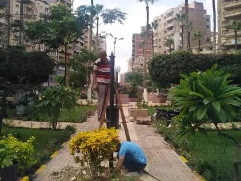 صورة 1 من 1 نشرها الحي مع المنشور