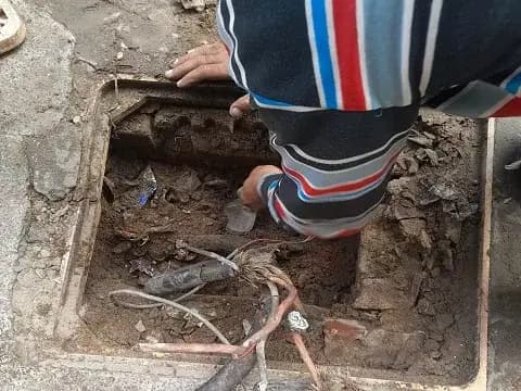 صورة 1 من 1 نشرها الحي مع المنشور