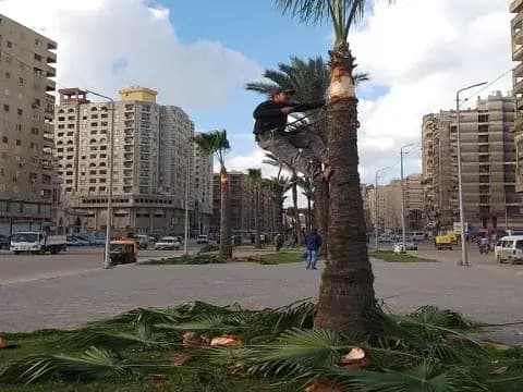 صورة 1 من 2 نشرها الحي مع المنشور